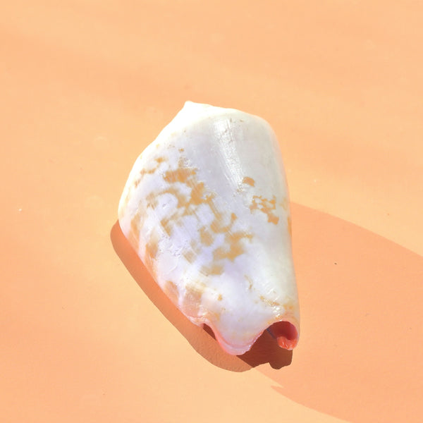Unlock a Dazzling Smile with Safe At-Home Whitening Kits